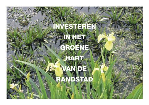 Investeren in het Groene Hart van de Randstad.pdf - Neprom