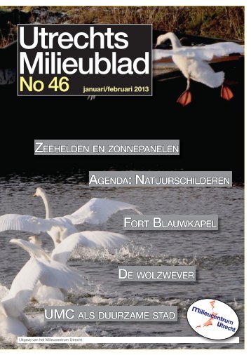 No 46 januari/februari 2013 (klik voor download) - Milieucentrum ...