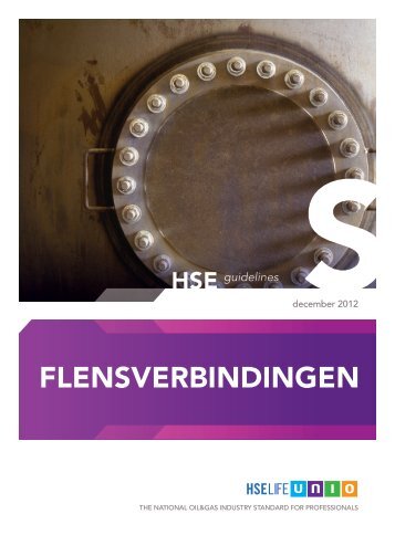 FLENSVERBINDINGEN - HSE LIFE UNIO