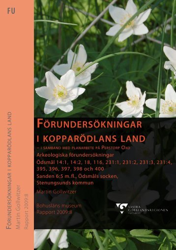 FÖRUNDERSÖKNINGAR I KOPPARÖDLANS LAND