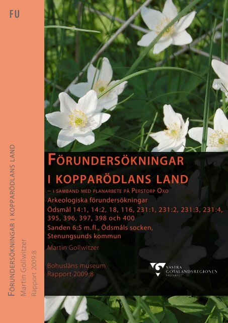 FÖRUNDERSÖKNINGAR I KOPPARÖDLANS LAND