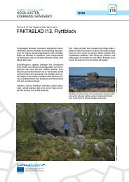 FAKTABLAD I13. Flyttblock - Kvarkens skärgård