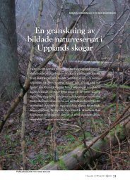 En granskning av bildade naturreservat i Upplands skogar (Mikael ...