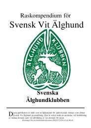 Svensk vit älghund - Svenska Älghundklubben