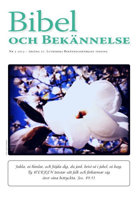 Bibel och Bekännelse 2013 nr 2 - Lutherska Bekännelsekyrkan