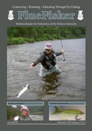 Conserving - Restoring - Educating Through Fly Fishing