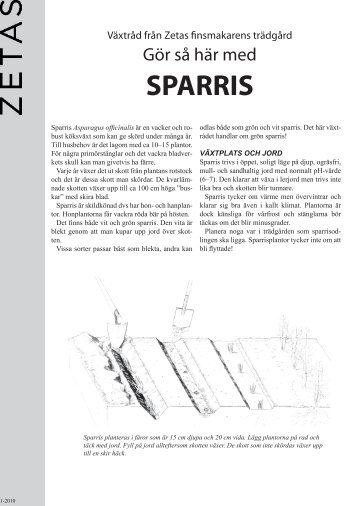 xxxxVÄXTER SPARRIS - Zetas