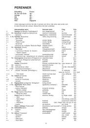 Sortiment perenner - Zetas