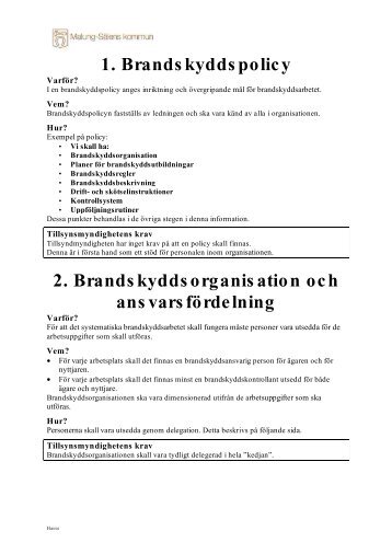 Myndighetens krav vid tillsyn LSO - Malung-Sälens kommun