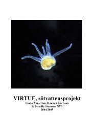 VIRTUE, sötvattensprojekt av Linda Almström, Hannah Karlsson och ...