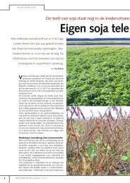 Eigen soja telen? Yes we can! - Agrifirm