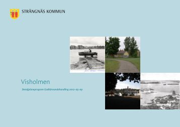 Detaljplaneprogram för Visholmen - Strängnäs kommun