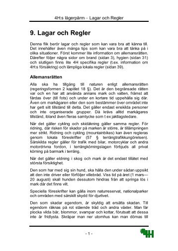 Kapitel 9 - Lagar och Regler