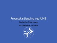 Prosesskartlegging ved UMB - Difi