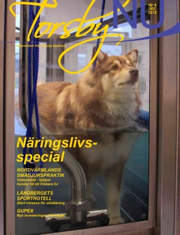 Näringslivs- special - Torsby kommun