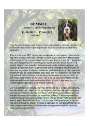 2012-04 Bommel 17-04-2012.pdf