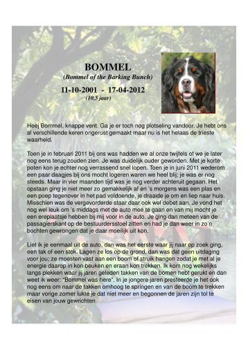 2012-04 Bommel 17-04-2012.pdf