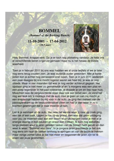 2012-04 Bommel 17-04-2012.pdf