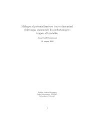 PDF file - Niels Bohr Institutet