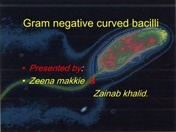 Vibrio cholerae