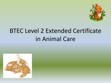 BTEC Level 2 Extended Certificate in Animal Care - The Blue School