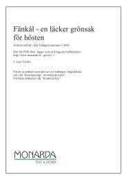 Fänkål - en läcker grönsak för hösten - Monarda