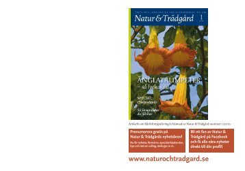 (pdf 0,44 MB) Format: uppslag. - Natur & Trädgård