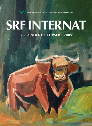 041736 Internat 2005.indd - Skatterevisorforeningen