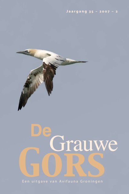 download hier dit nummer van de Grauwe Gors in PDF formaat