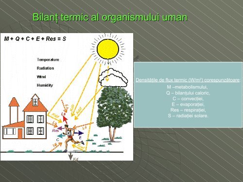 ZONA DE CONFORT TERMIC