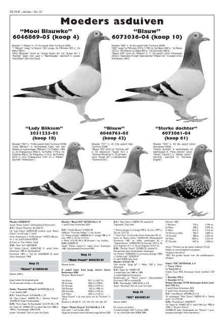 enkele jonge duiven 2008 - antoine jacops pigeons