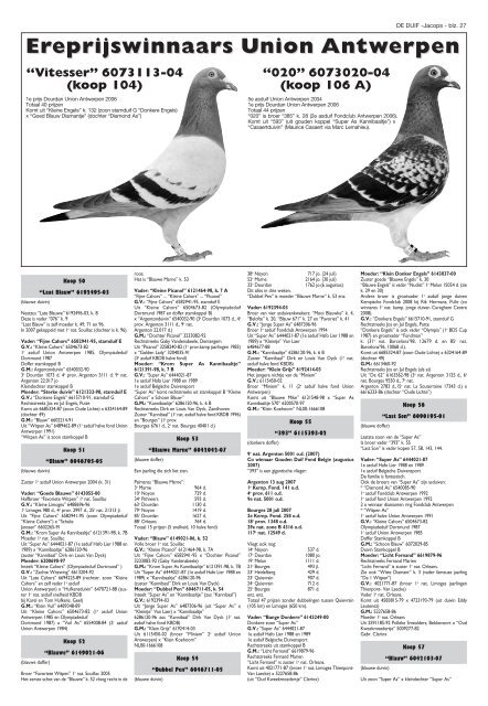 enkele jonge duiven 2008 - antoine jacops pigeons