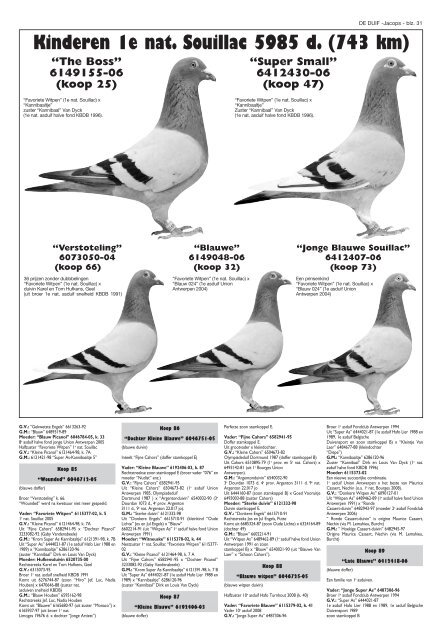 enkele jonge duiven 2008 - antoine jacops pigeons
