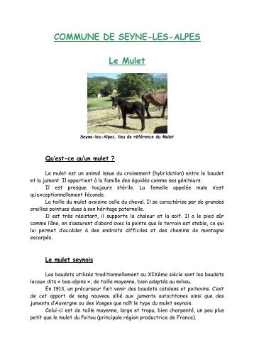 COMMUNE DE SEYNE-LES-ALPES Le Mulet
