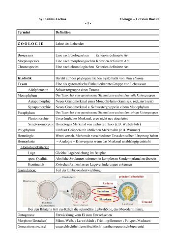 Protostomia