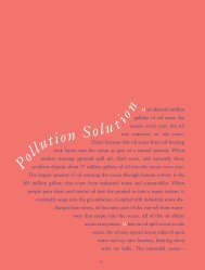 Pollution Solution - Smithsonian Education