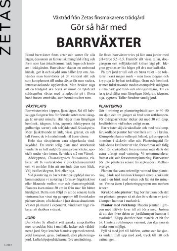 Växtråd barrväxter - Zetas