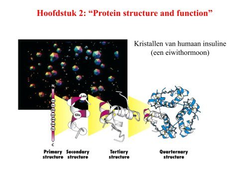 colleges 3 en 4 - Biochemistry