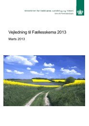 Vejledning til Fællesskema 2013