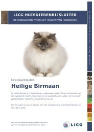 Download de huisdierenbijsluiter Heilige Birmaan - LICG