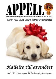 Appell #4, 2011 - Falu Brukshundklubb