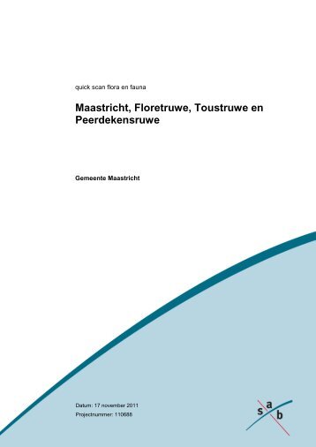 Maastricht, Floretruwe, Toustruwe en Peerdekensruwe - Gemeente ...