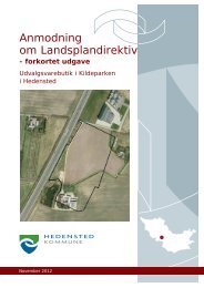 Anmodning om Landsplandirektiv - Net
