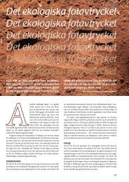 Det ekologiska fotavtrycket (pdf) - Fobo