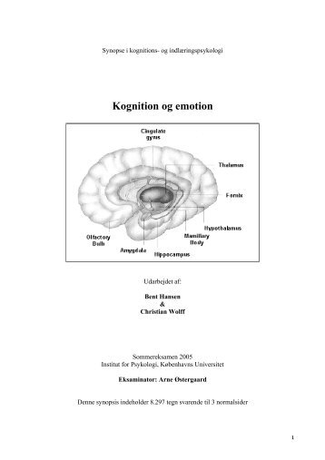 Kognitionspsykologi - Bent Hansen