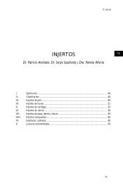 4 Injertos.pdf