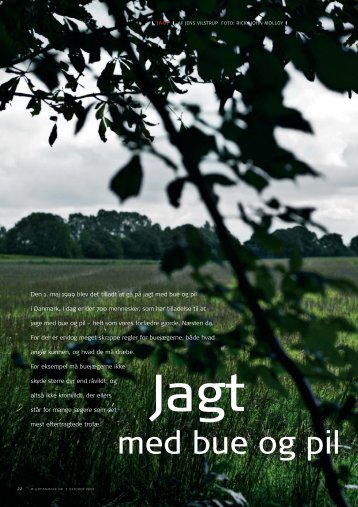 Jagt med bue og pil i Danmark