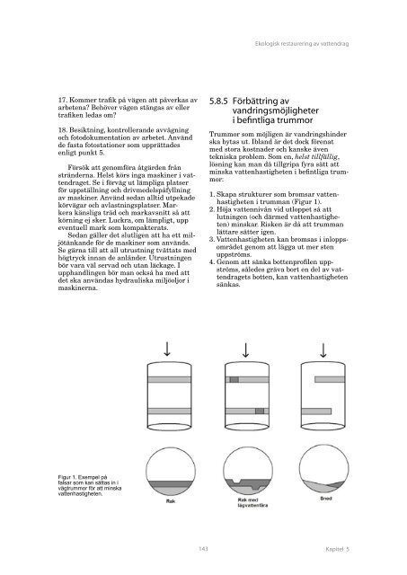 Ekologisk