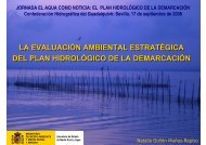 la evaluación ambiental estratégica del plan hidrológico de la ...