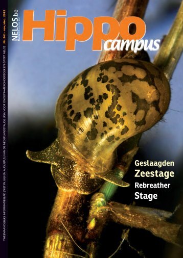 Hippocampus nr. 241 (november/december 2012) - volledige uitgave